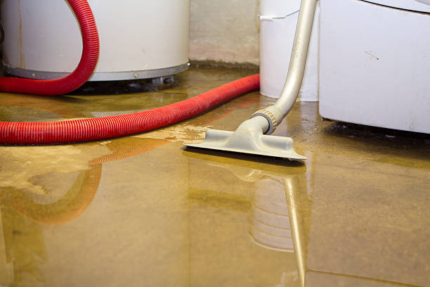  Allendale, SC Water damage restoration Pros