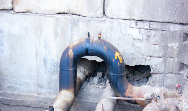 Best Water damage repair service  in Allendale, SC